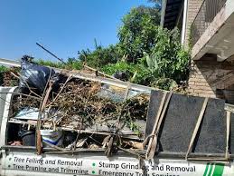 Best Attic Cleanout  in Graniteville, SC